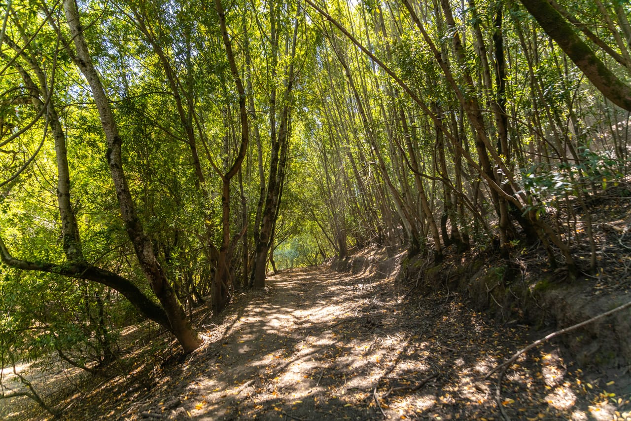 Listing Image 8