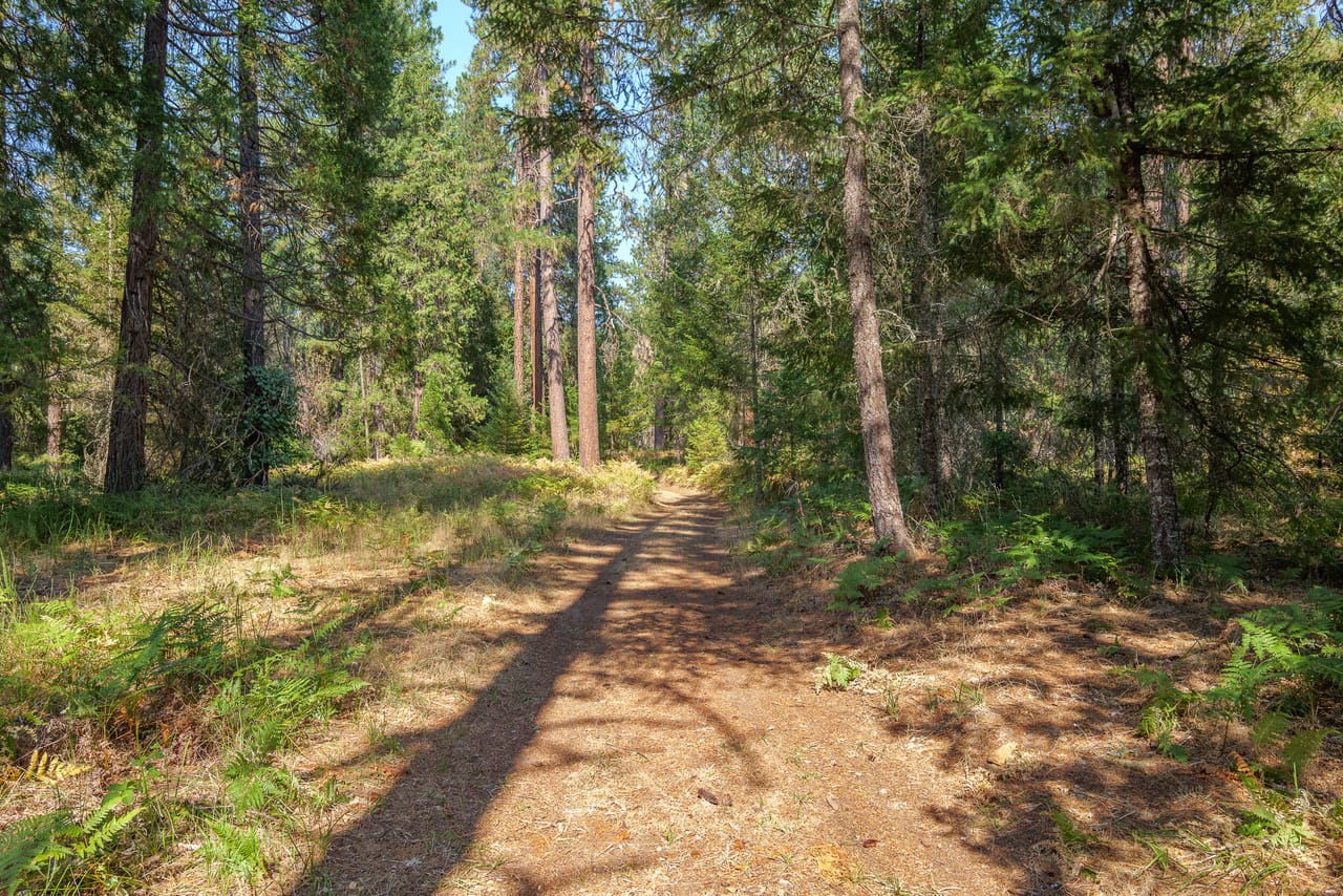 Listing Image 46