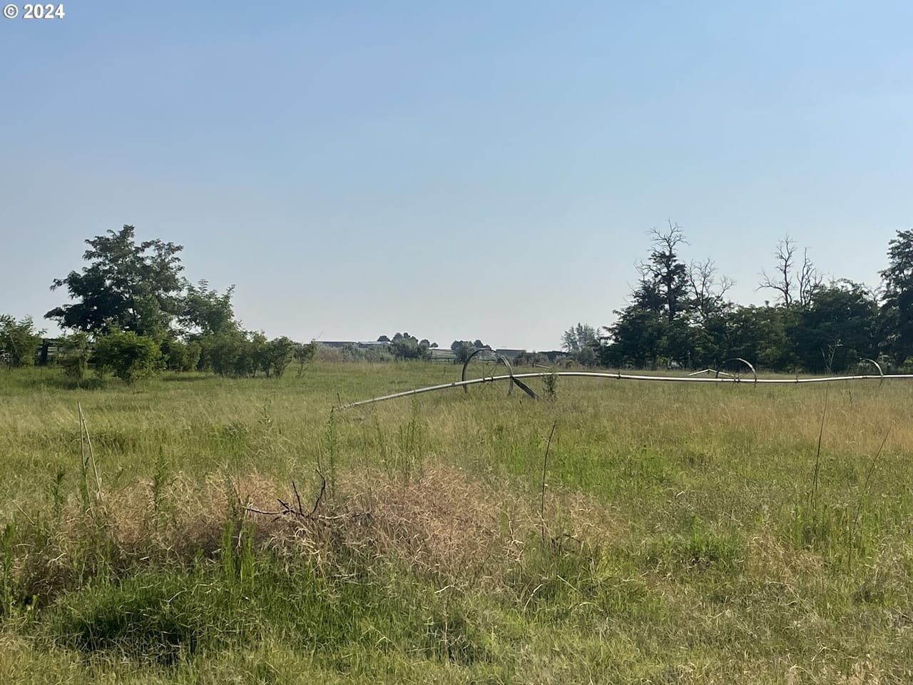 Irrigated ground/Exceptional Duck Hunting Grounds with buildable lots for a hunting retreat.