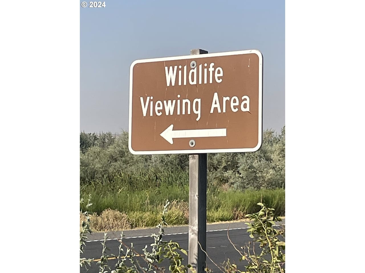 Irrigated ground/Exceptional Duck Hunting Grounds with buildable lots for a hunting retreat.