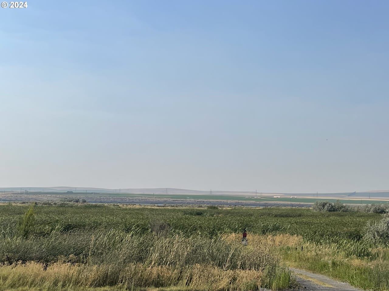 Irrigated ground/Exceptional Duck Hunting Grounds with buildable lots for a hunting retreat.