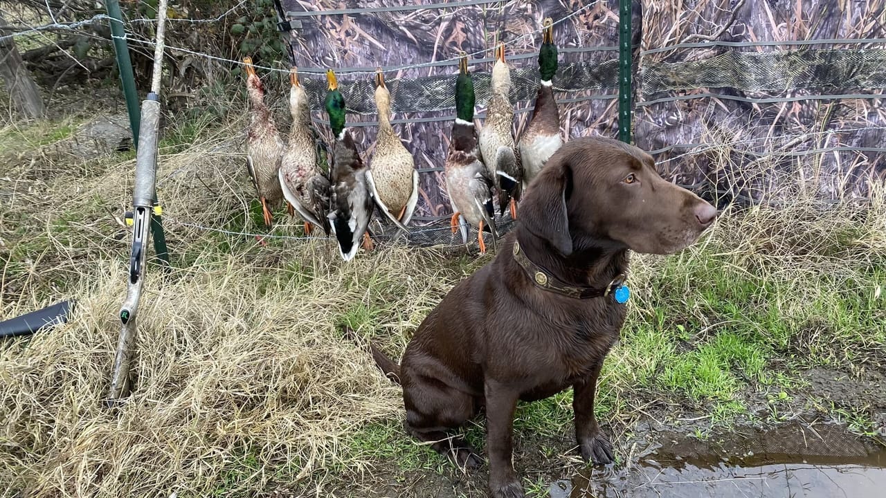 Irrigated ground/Exceptional Duck Hunting Grounds with buildable lots for a hunting retreat.