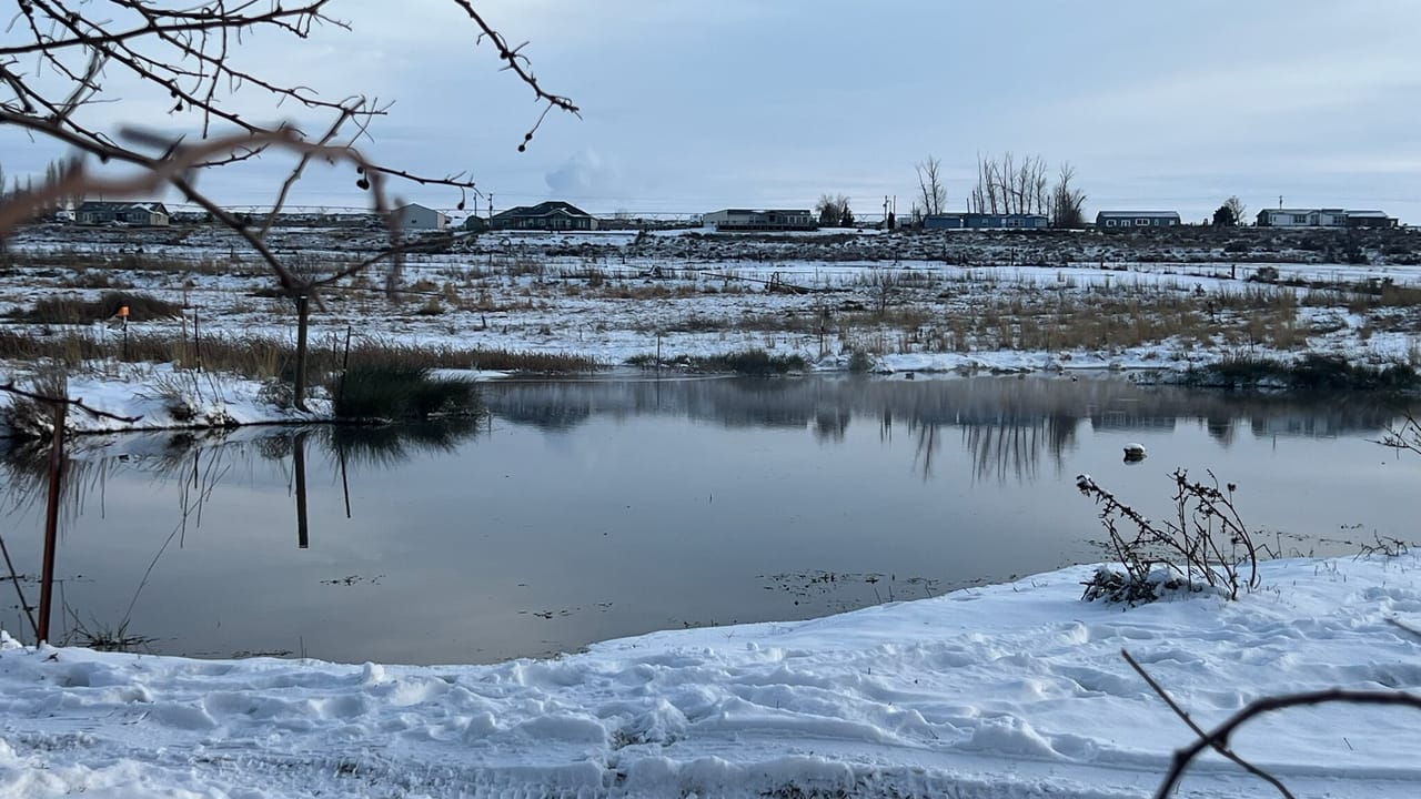 Irrigated ground/Exceptional Duck Hunting Grounds with buildable lots for a hunting retreat.