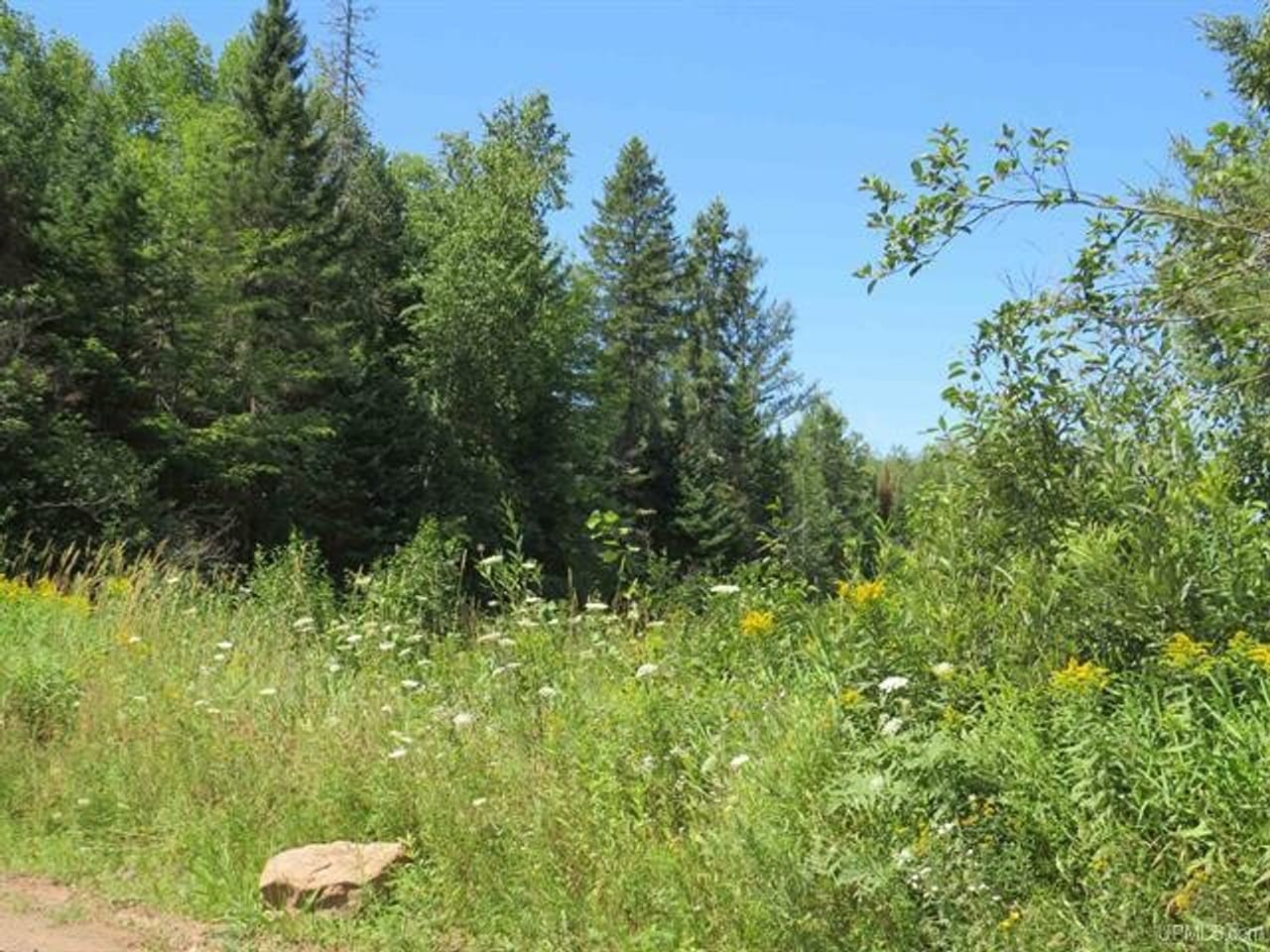 Michigan Hunt/Fish Cabins 50151265