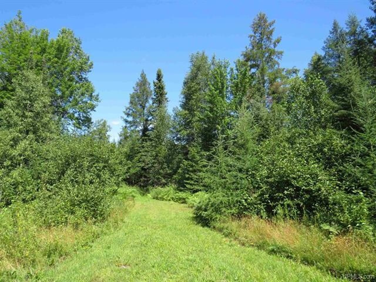 Michigan Hunt/Fish Cabins 50151265