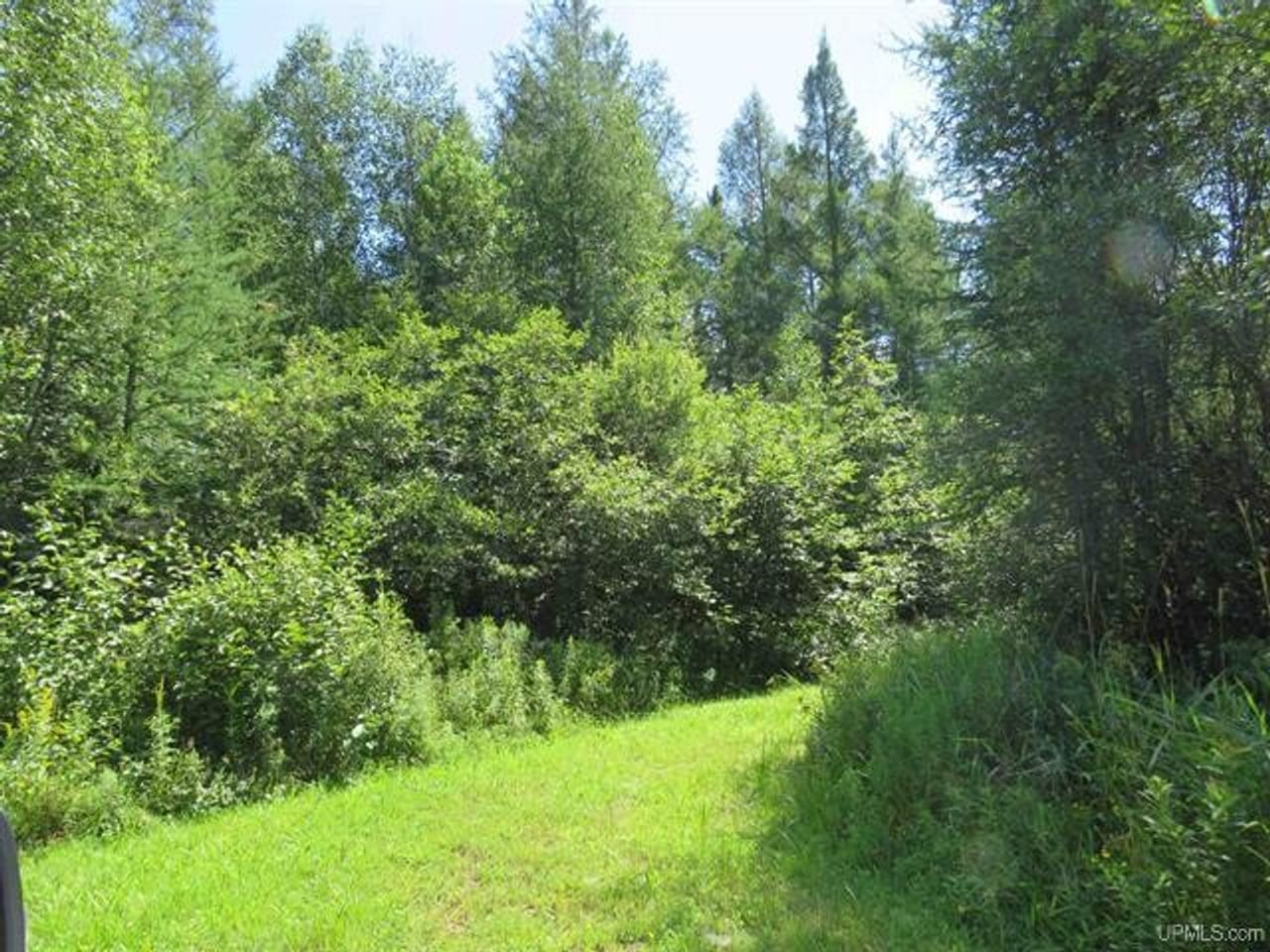 Michigan Hunt/Fish Cabins 50151265