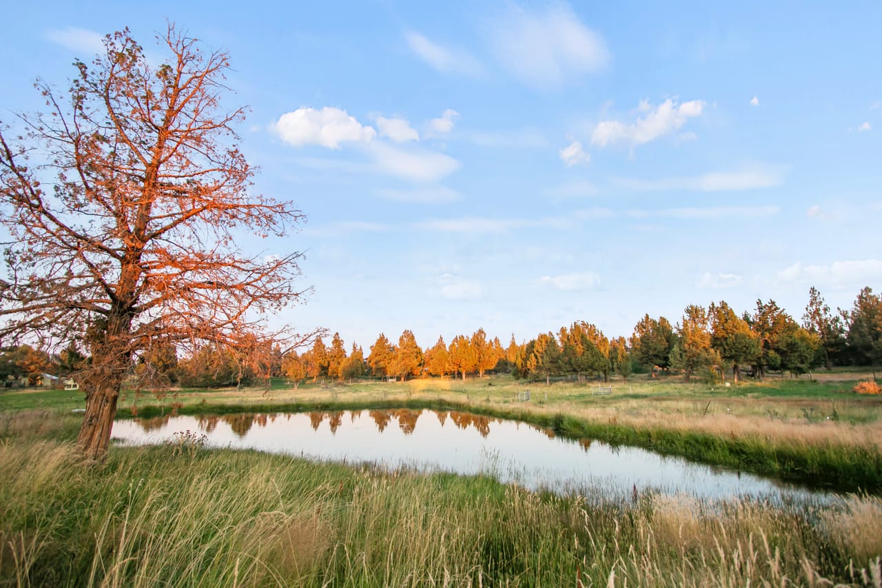 62370 Byram Rd - Captivating Home with Irrigated Pasture