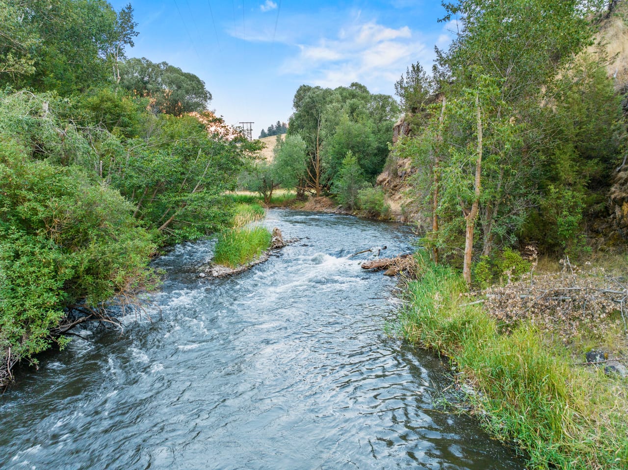 Listing Image 51