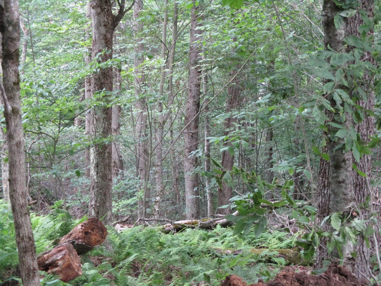 Listing Image 9