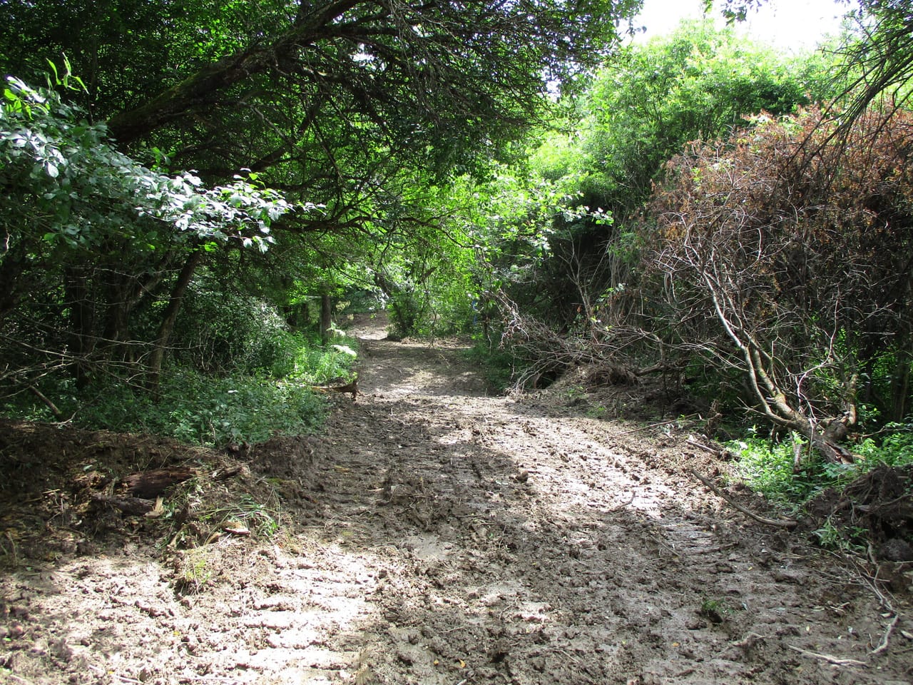 Listing Image 17