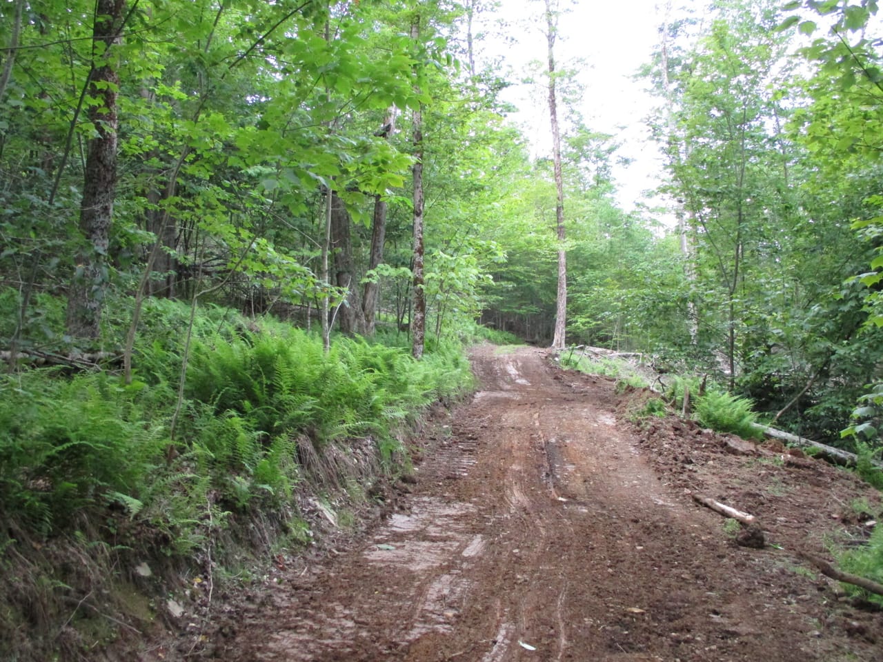 Listing Image 26