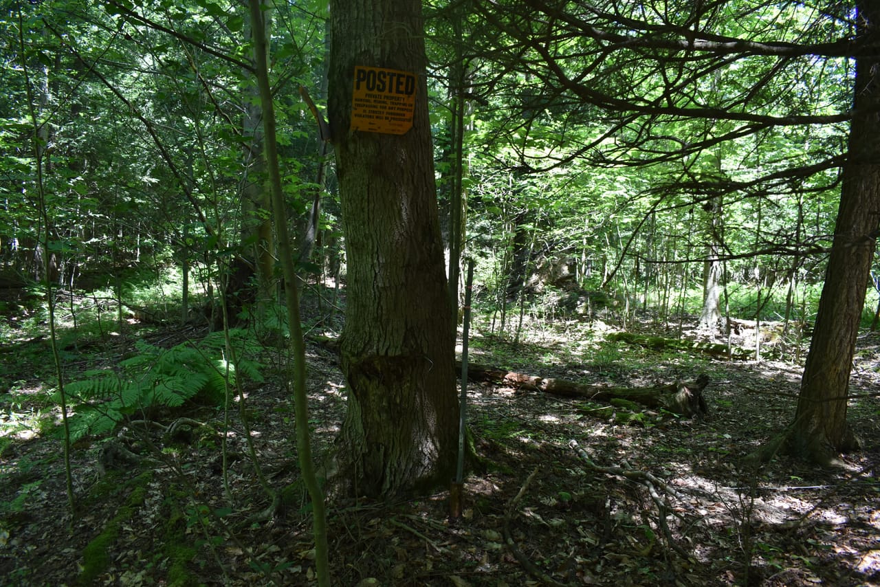 Listing Image 68