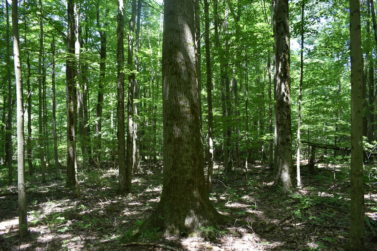Listing Image 18