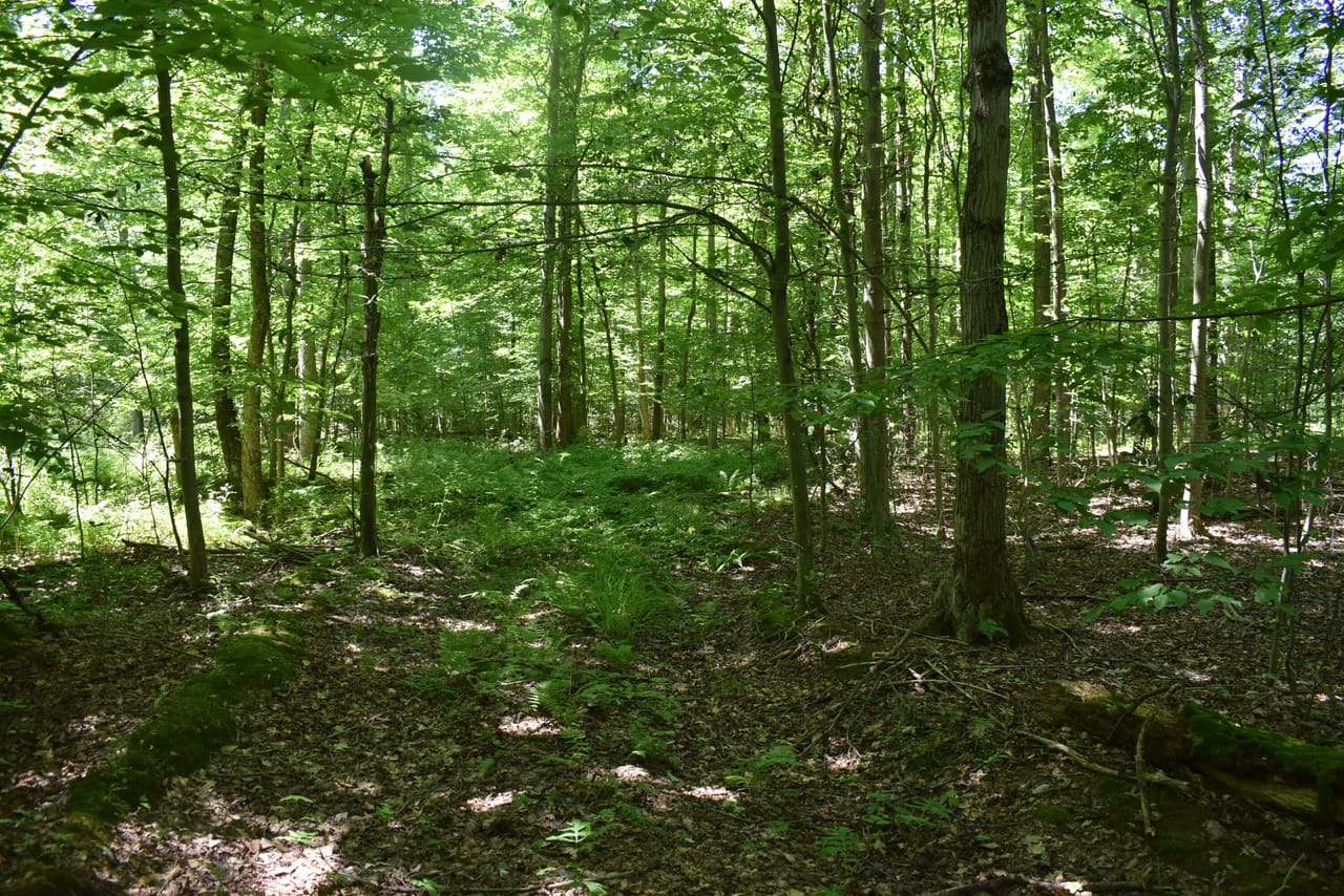 Listing Image 20