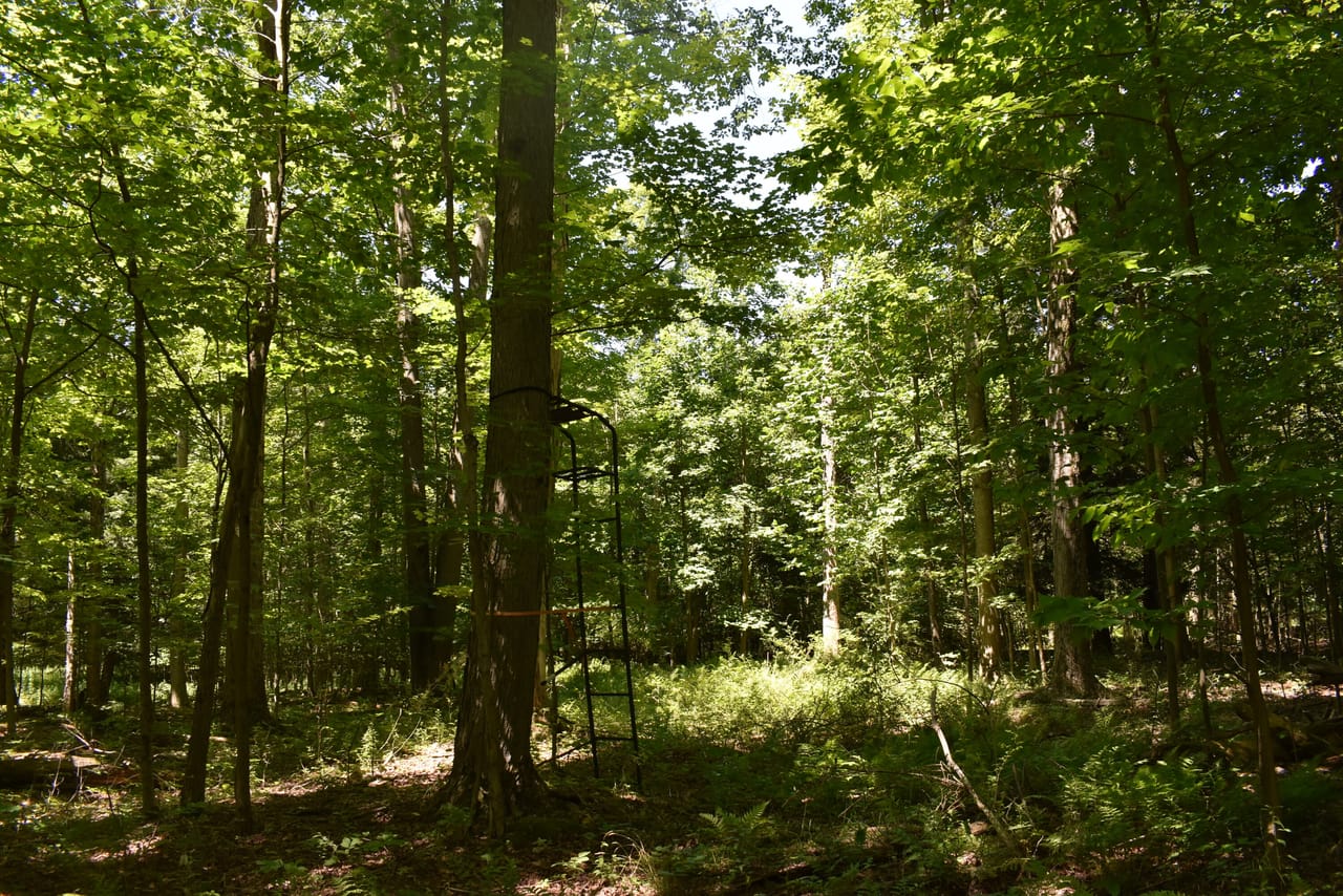 Listing Image 36