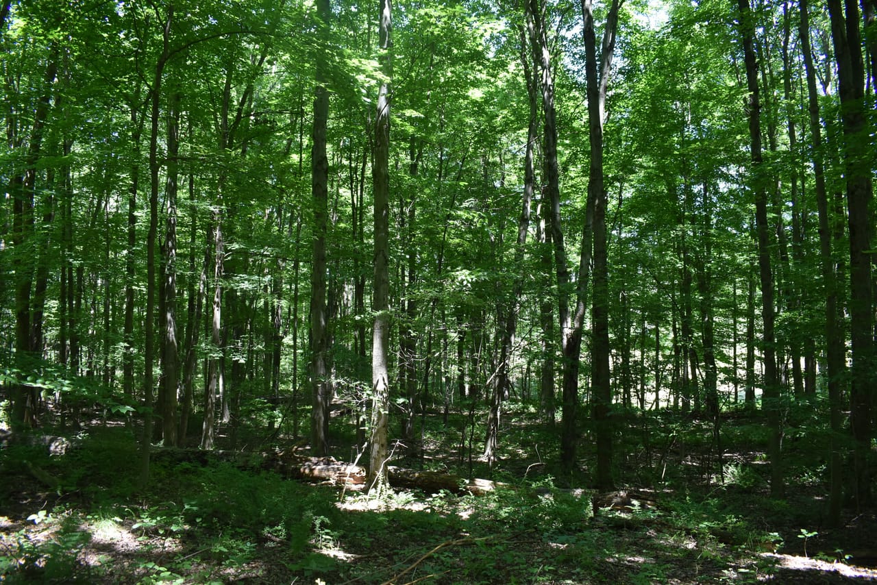 Listing Image 39