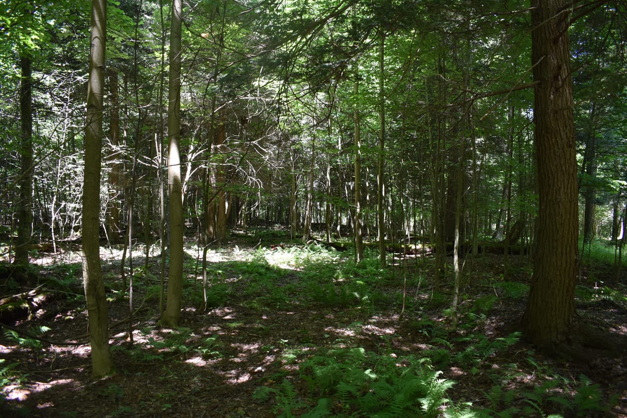 Listing Image 41