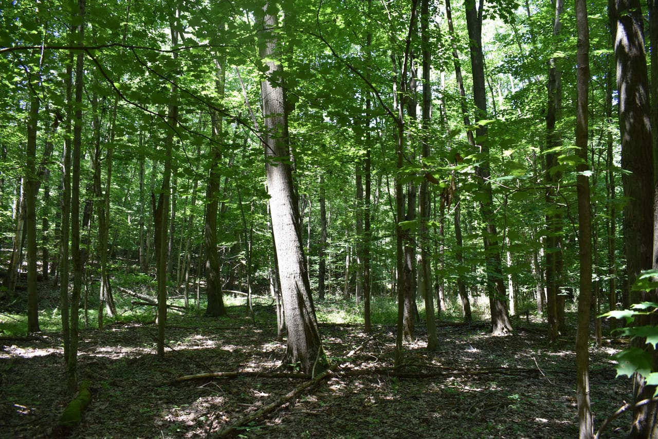 Listing Image 43