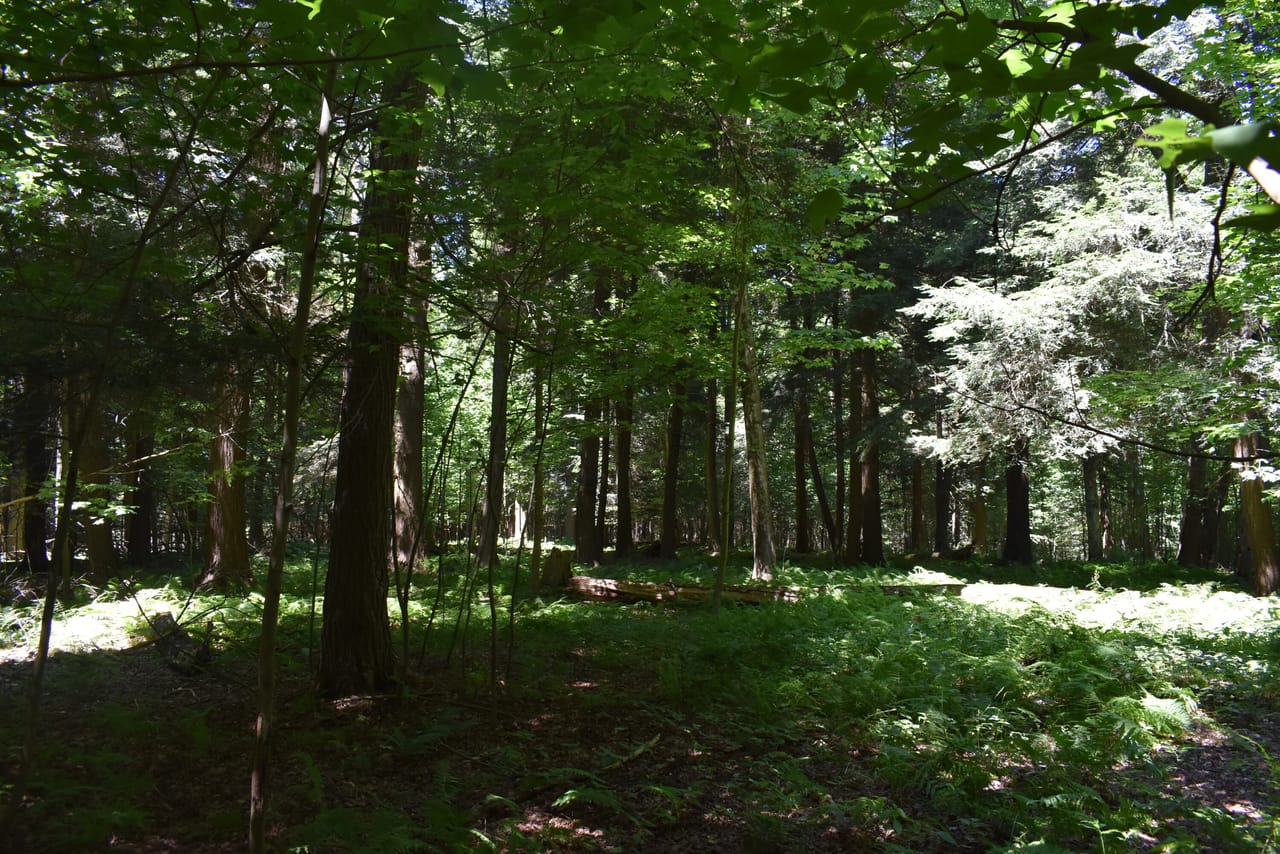 Listing Image 47