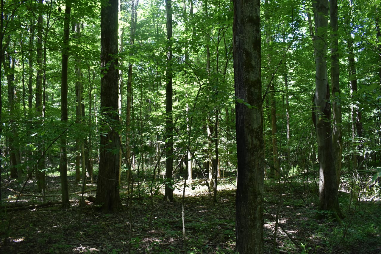 Listing Image 51