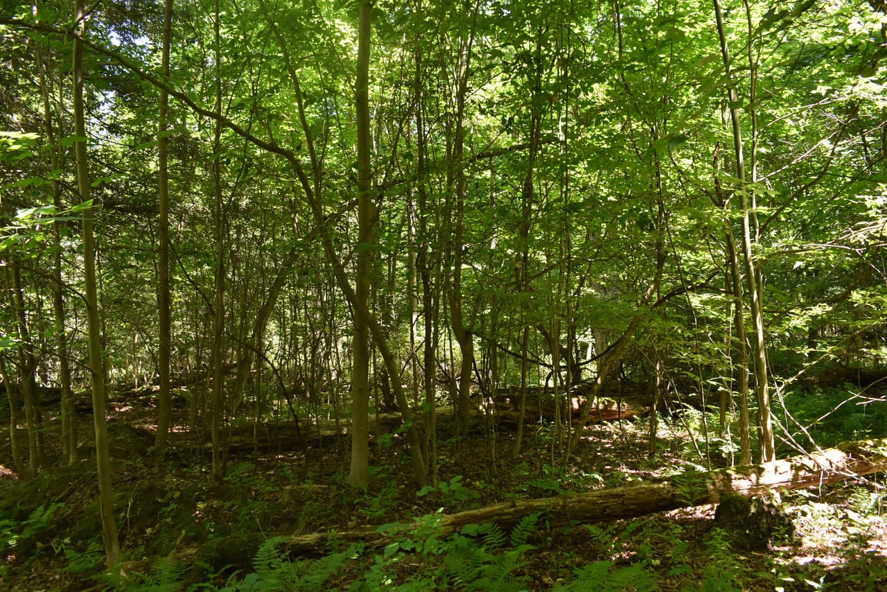 Listing Image 14