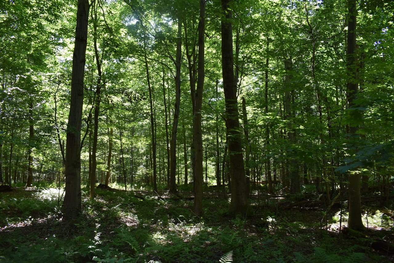 Listing Image 21