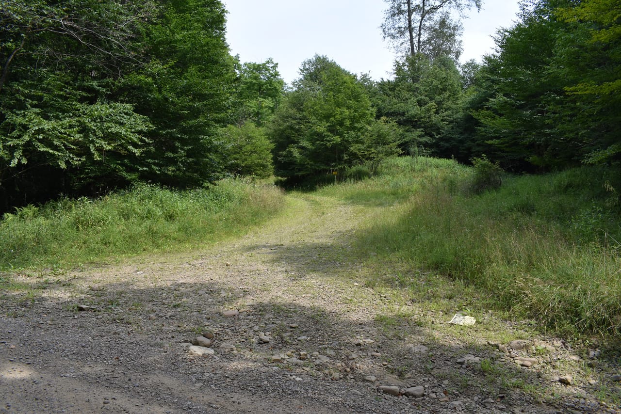 Listing Image 69