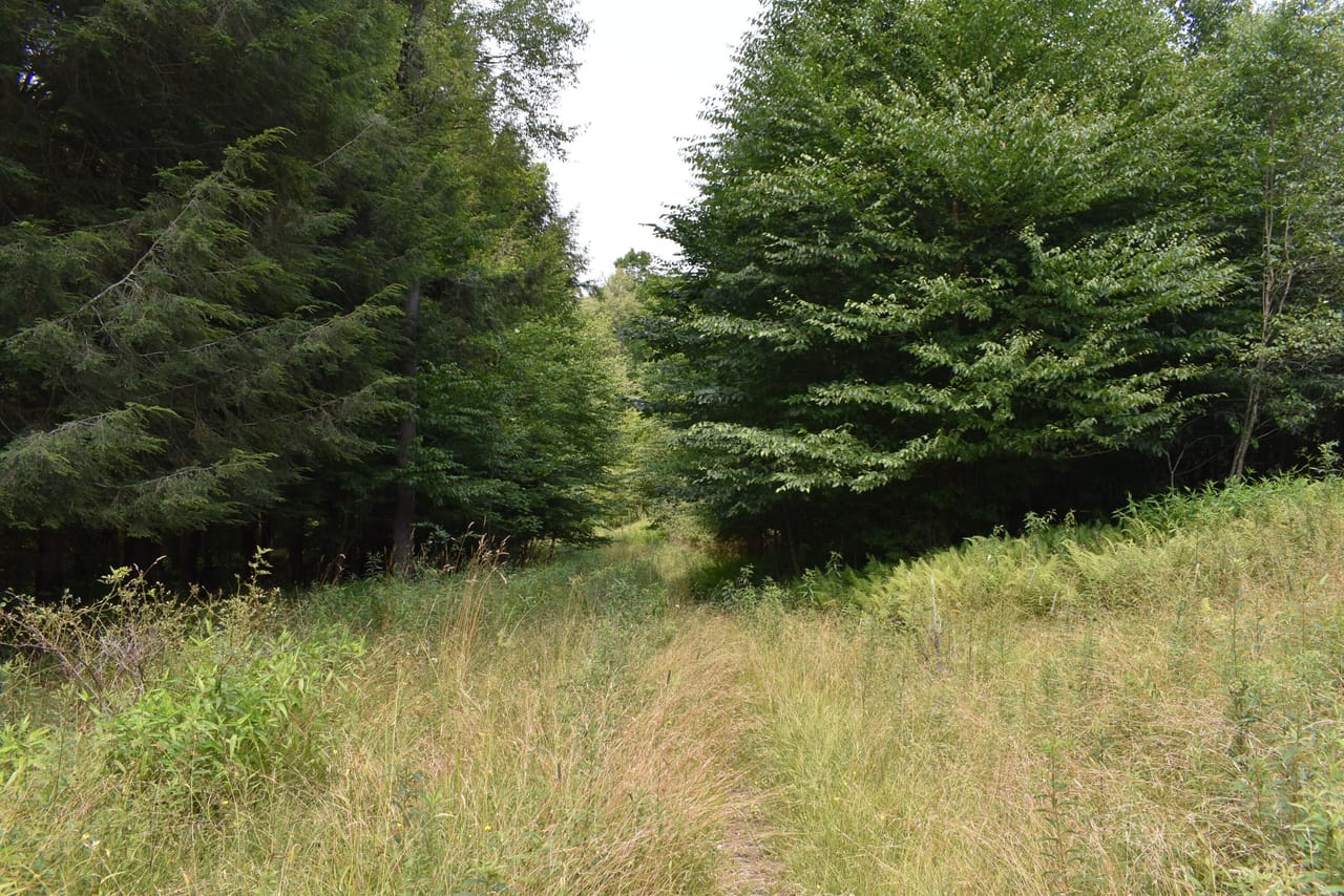 Listing Image 17