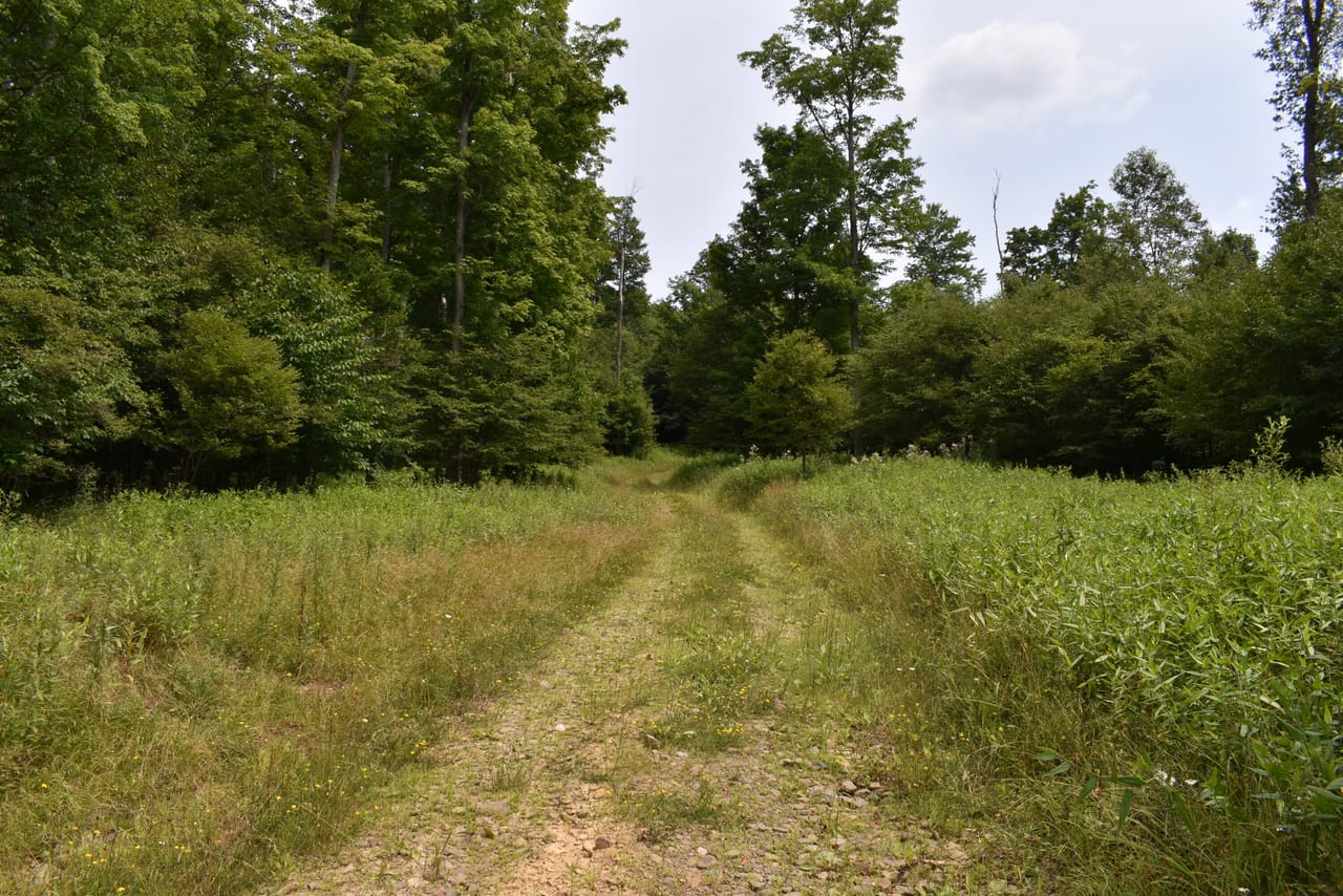 Listing Image 49