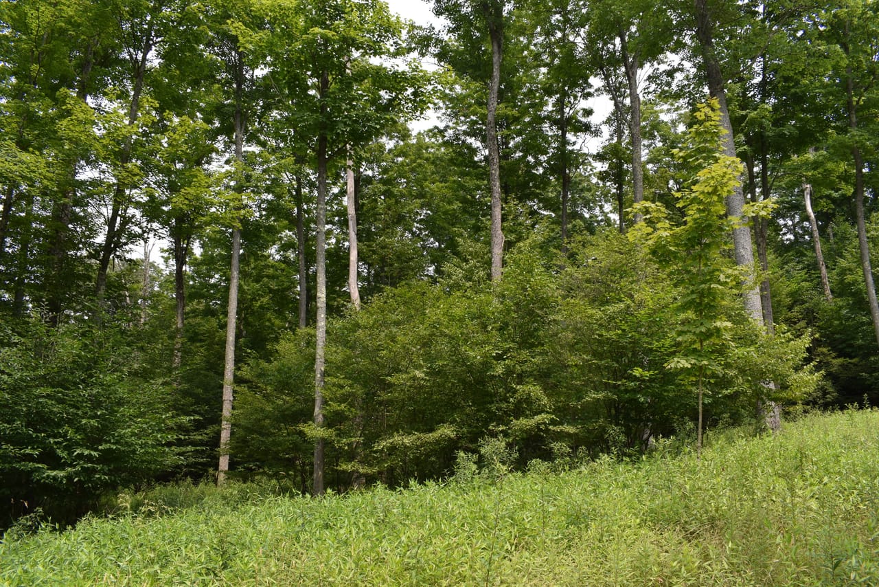 Listing Image 52