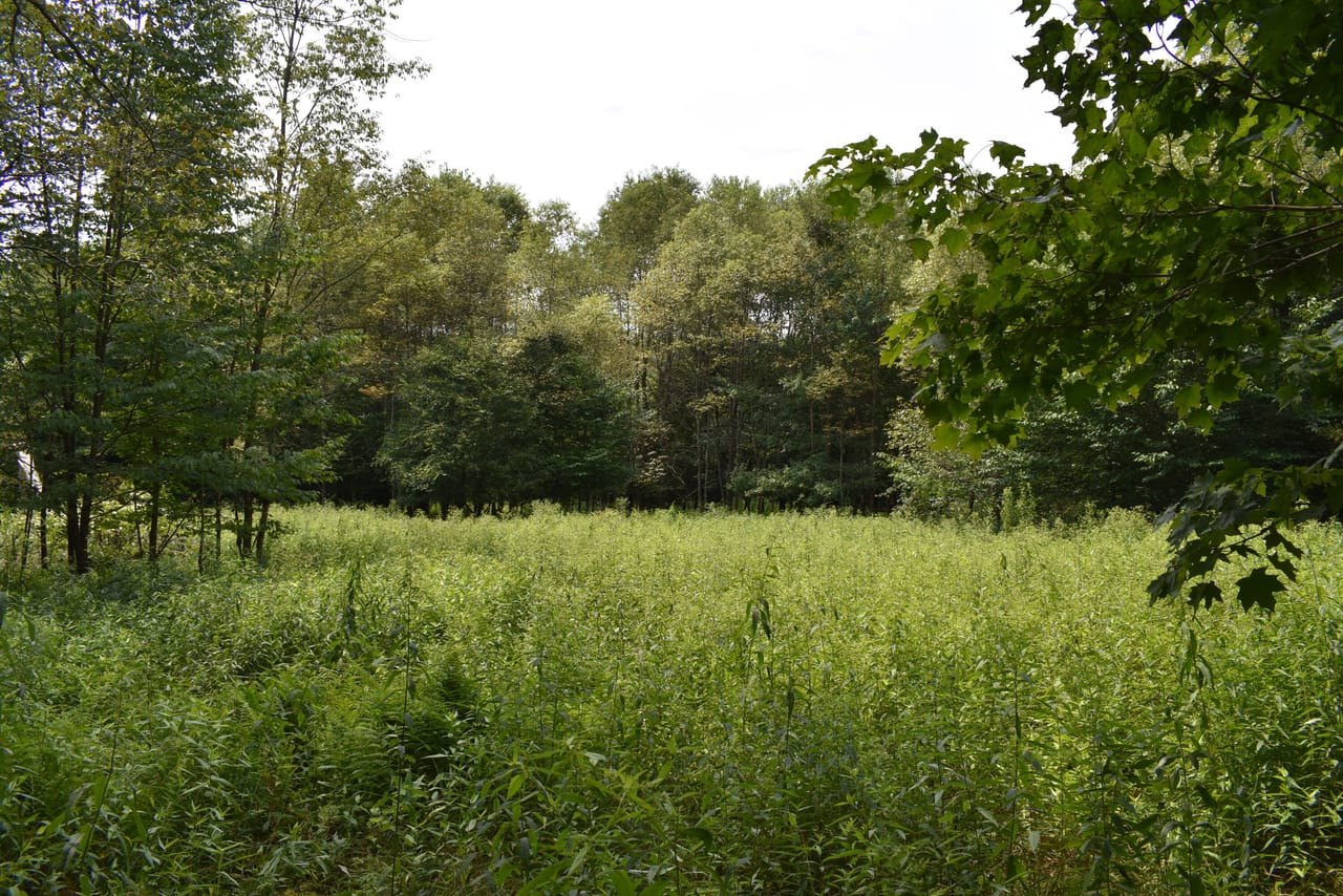 Listing Image 55