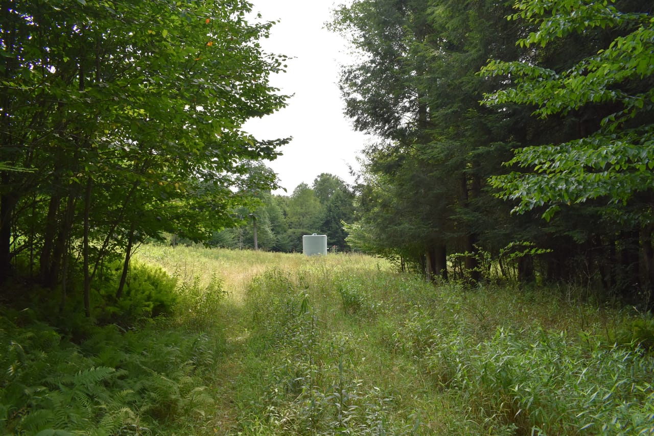 Listing Image 65