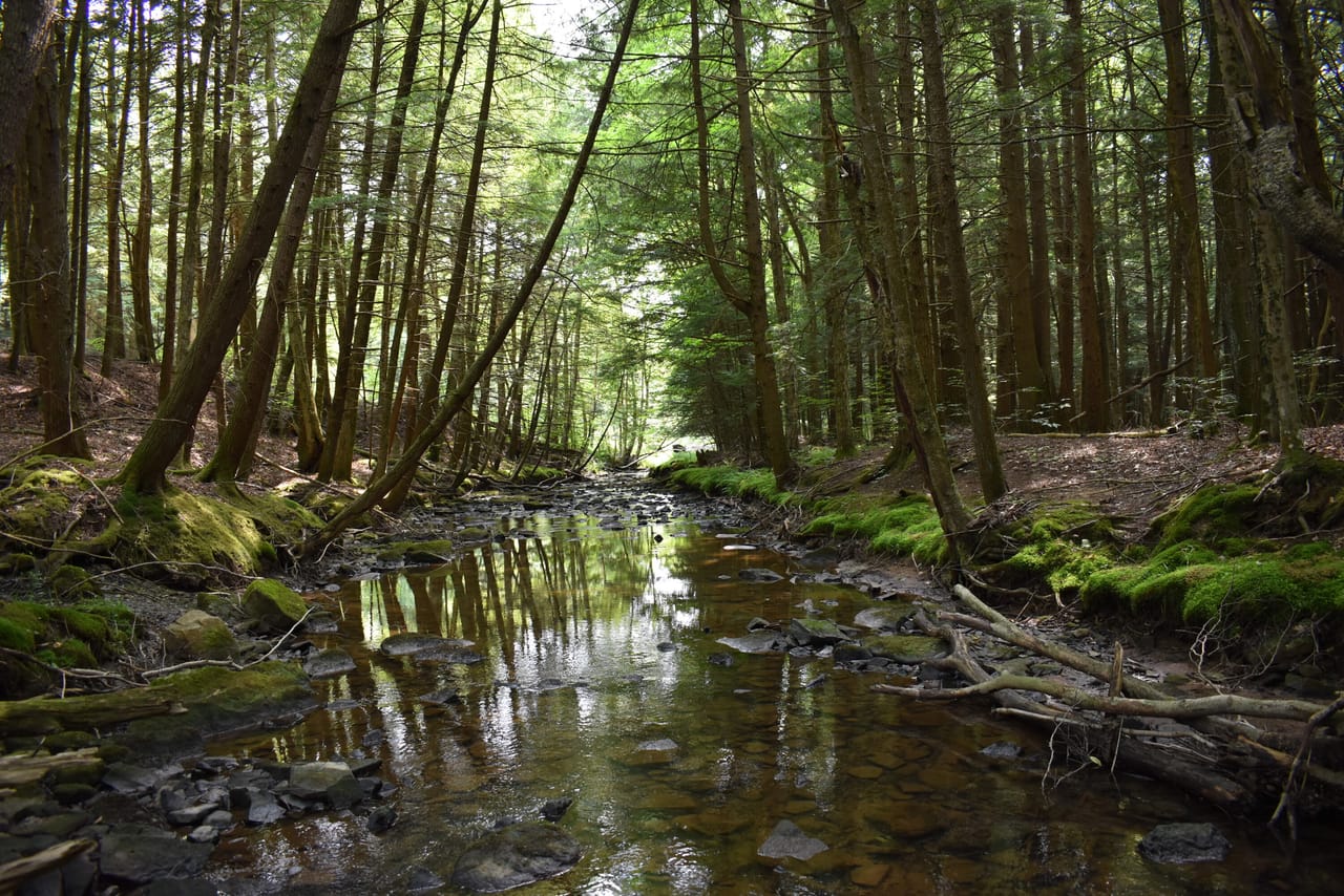 Listing Image 18