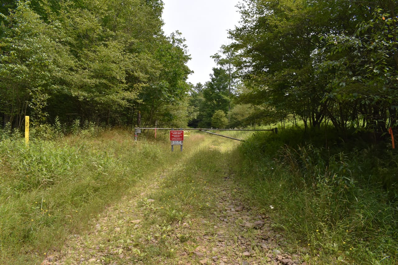 Listing Image 20