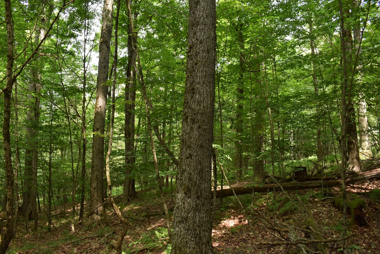 Listing Image 21