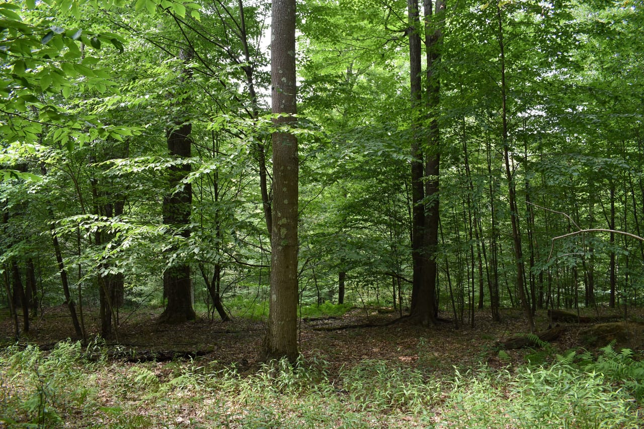 Listing Image 22