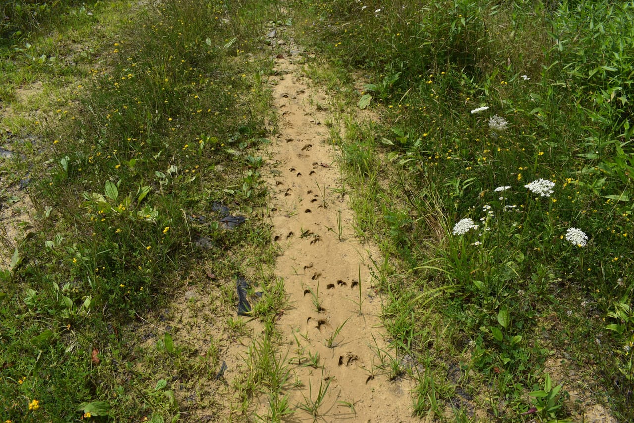 Listing Image 24
