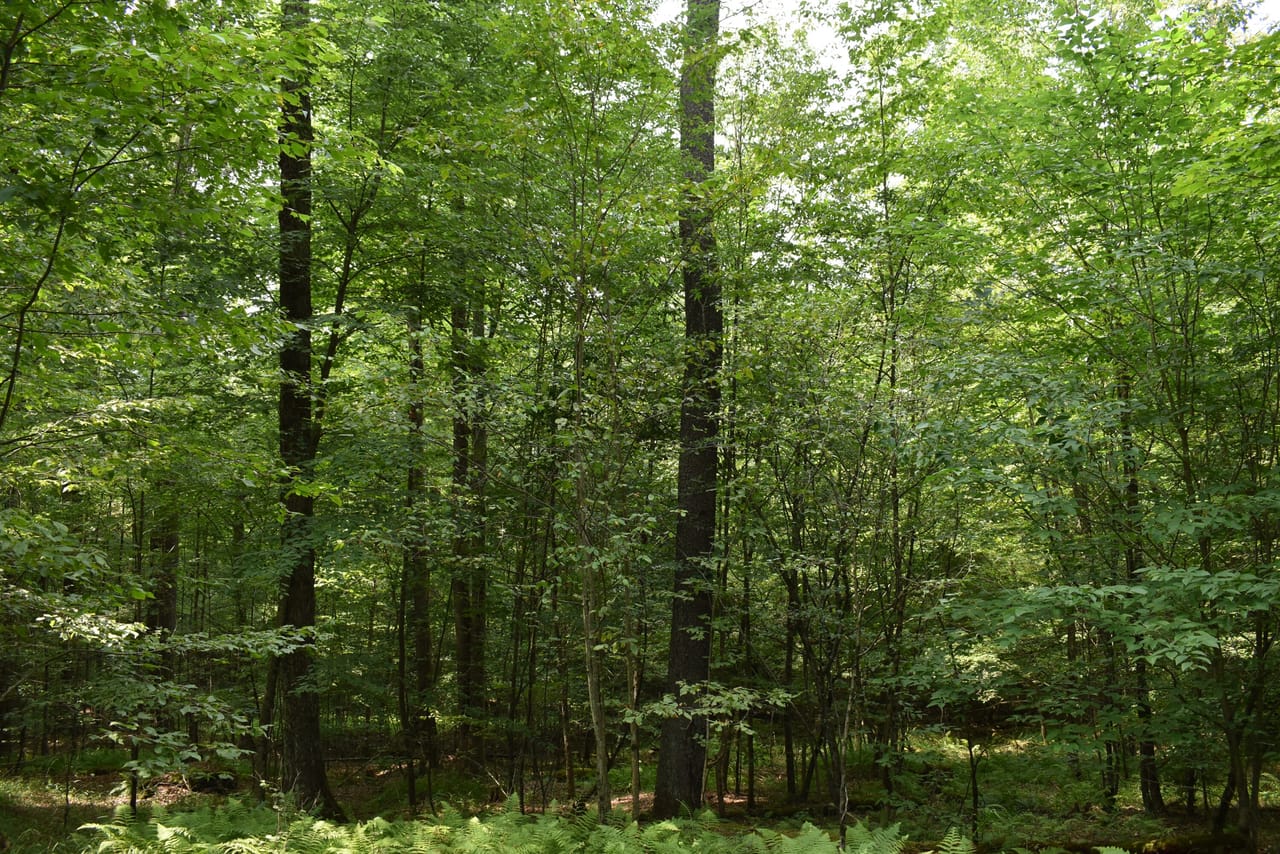 Listing Image 28