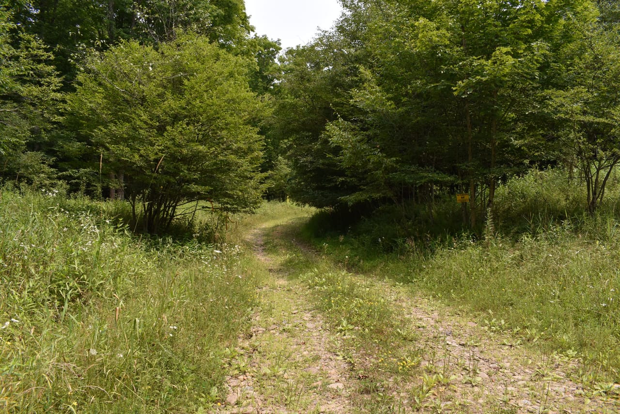 Listing Image 29