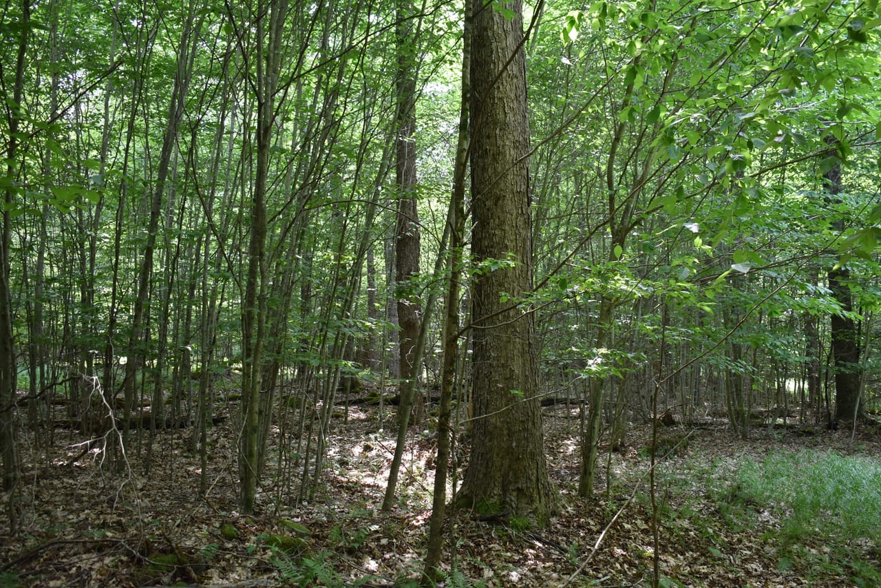 Listing Image 31