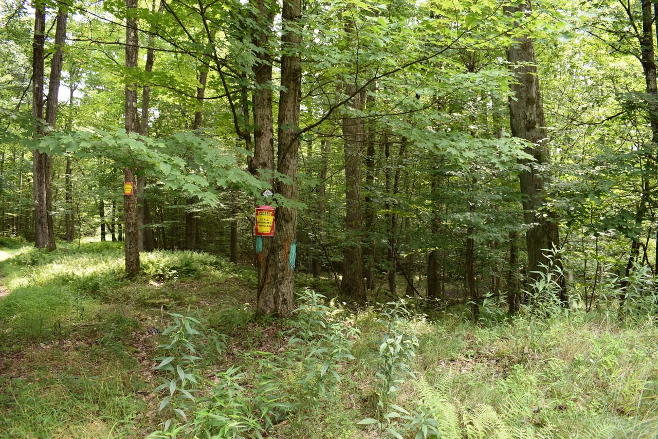 Listing Image 32