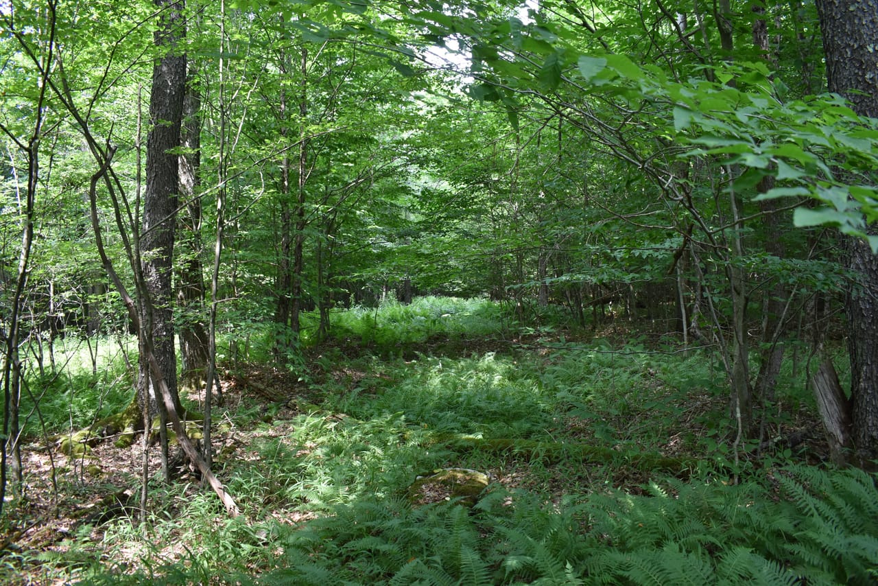 Listing Image 37