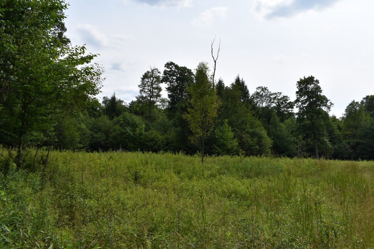 Listing Image 51