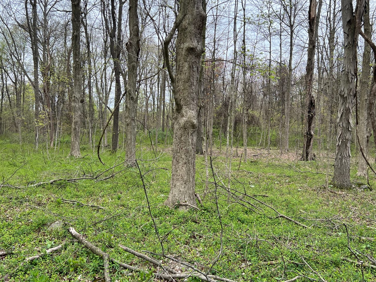 Listing Image 31