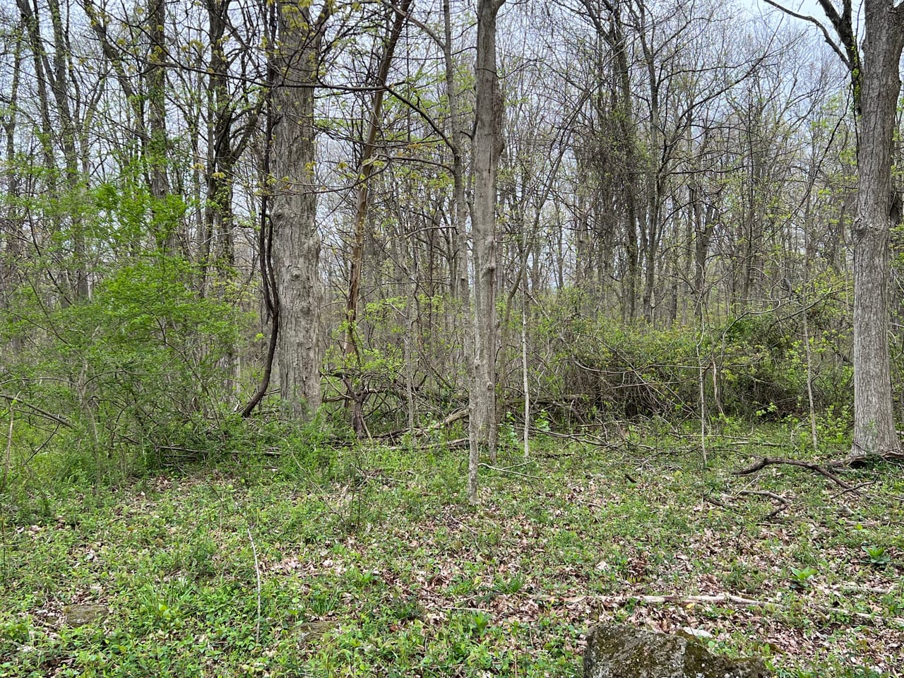 Listing Image 33