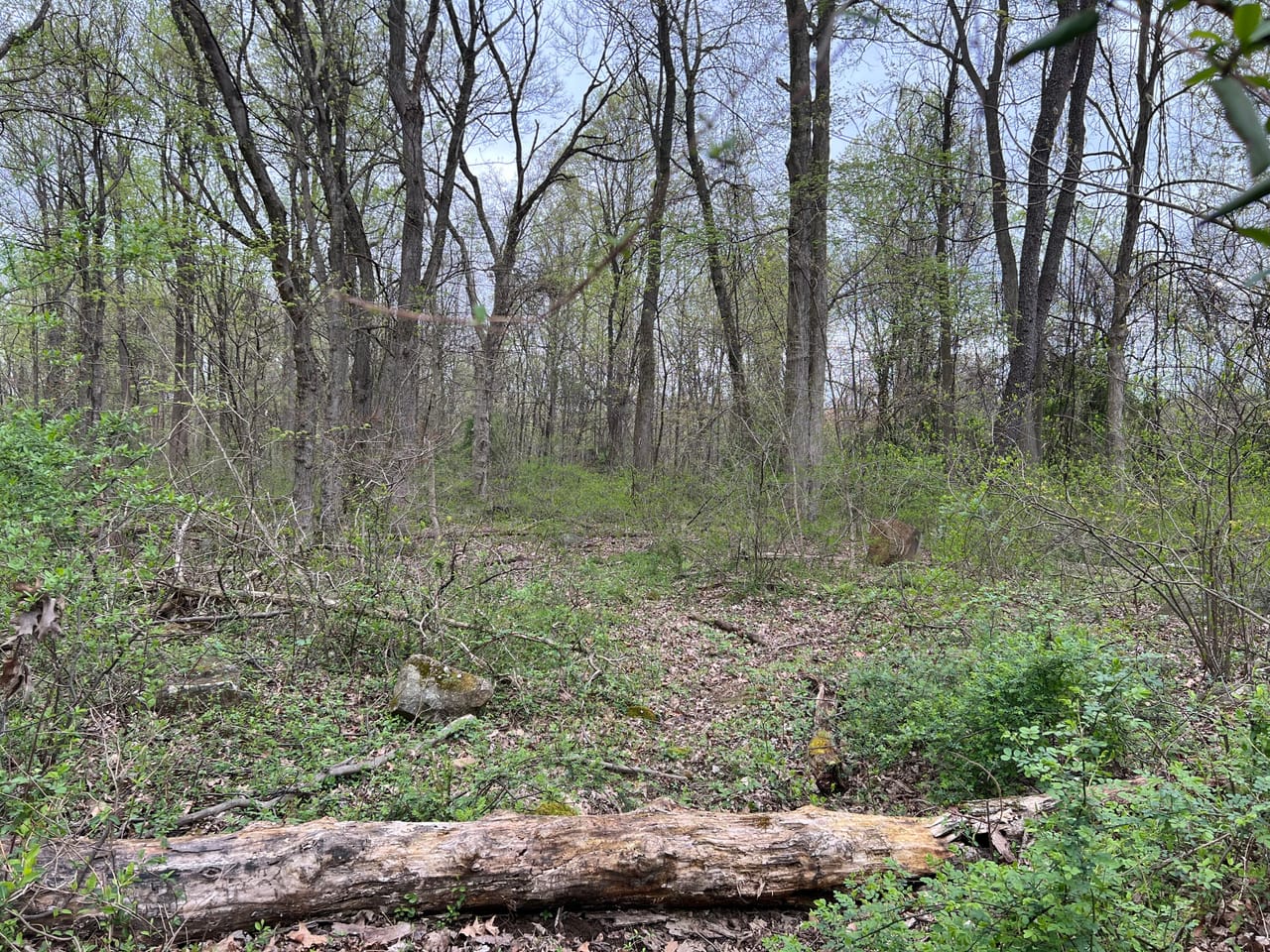 Listing Image 34