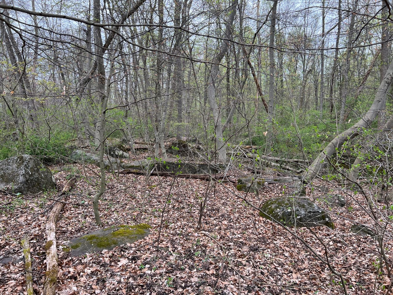 Listing Image 47