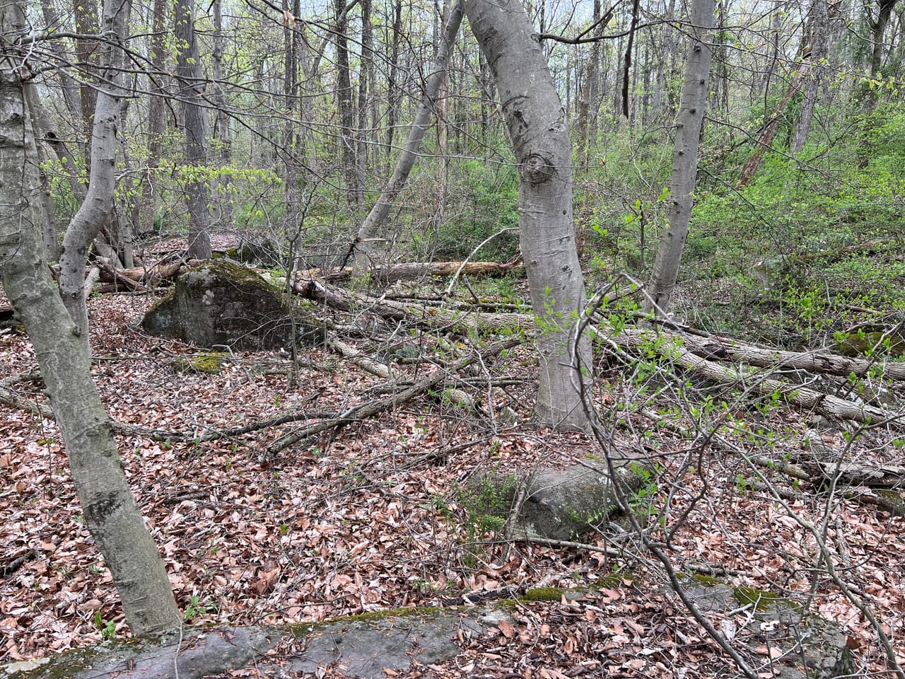 Listing Image 48