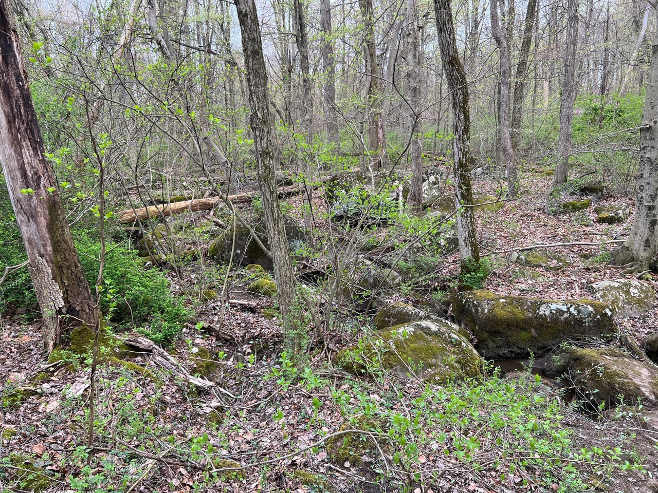 Listing Image 49