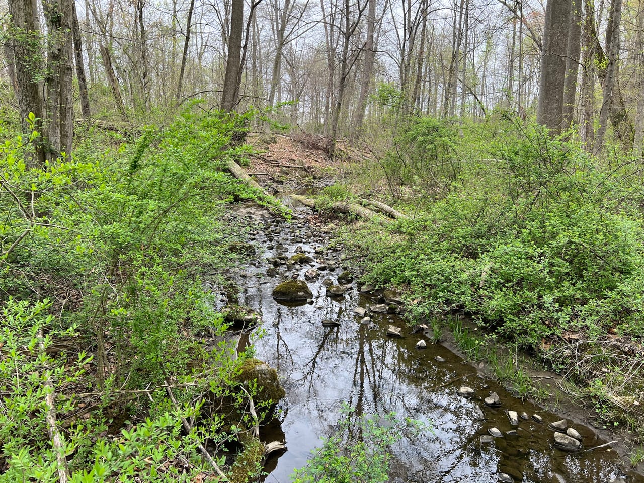 Listing Image 73